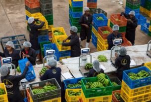 Kenyan agritech startup Twiga Foods goes into administration after failing to pay rising supplier and investor debts.